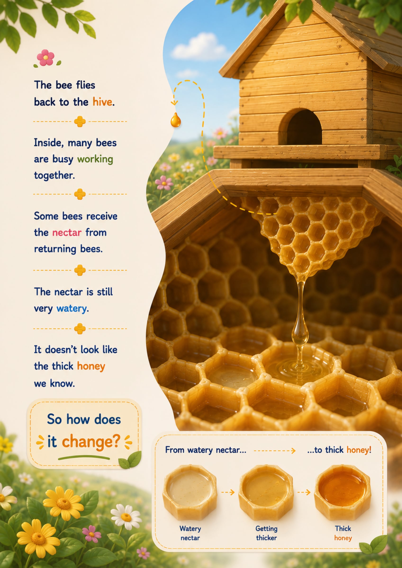 Sample page 5 of How Do Bees Make Honey?